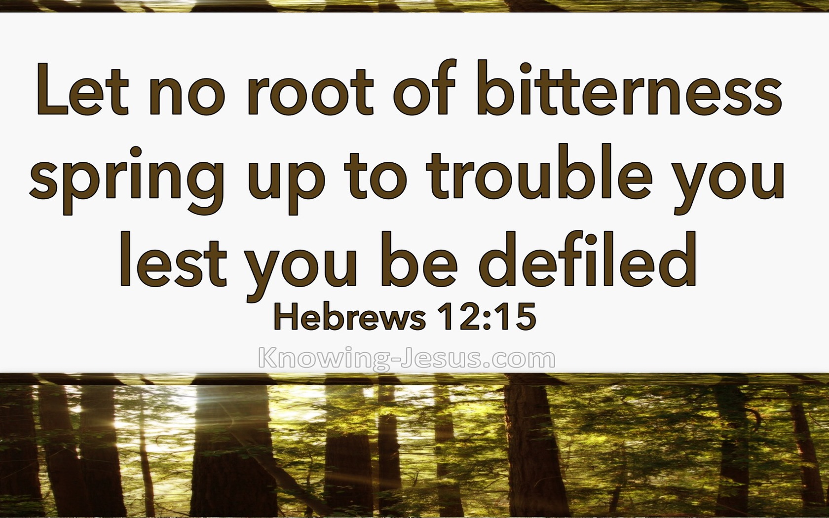 Hebrews 12:15 Let No Root Of Bitterness Spring Up (beige)